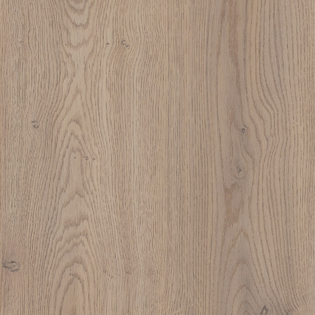 Bella - Cremona Oak Cannolo