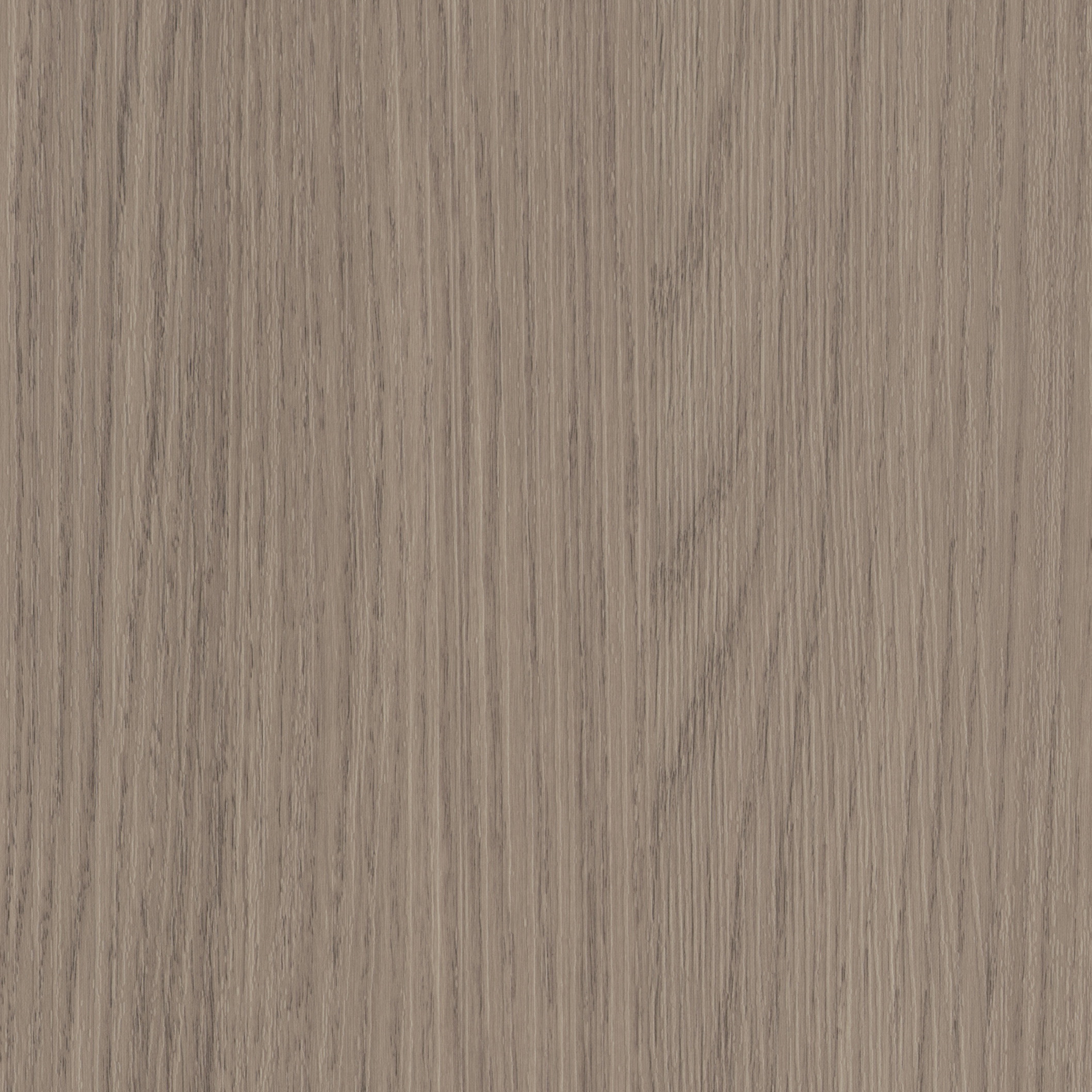 Bella - Grey Vicenza Oak