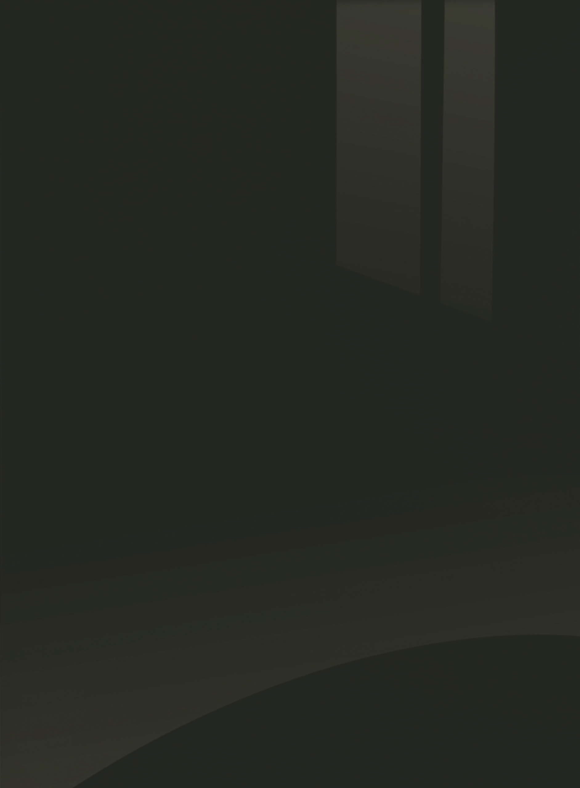 Zurfiz - SuperGloss Graphite