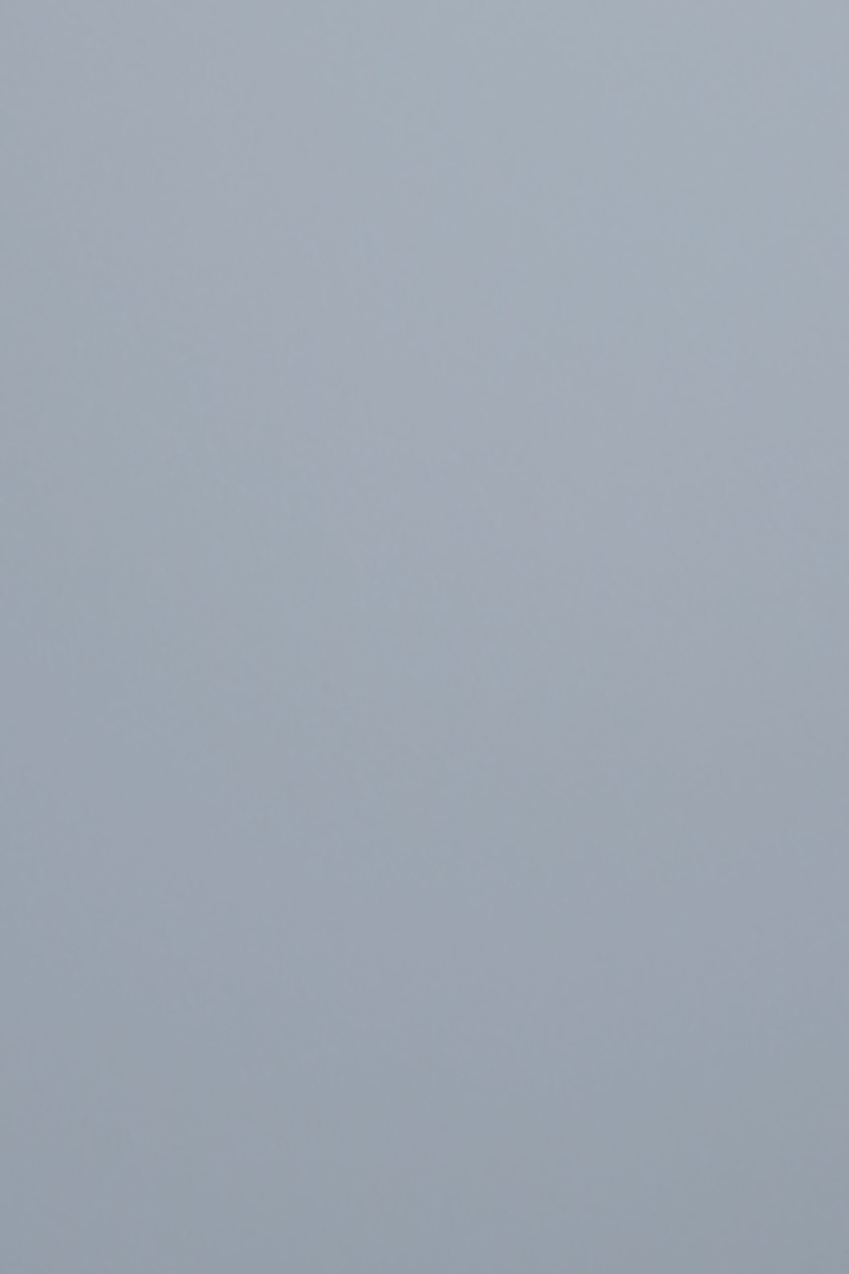 Zurfiz - SuperMatt Denim